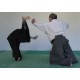Hakama gris